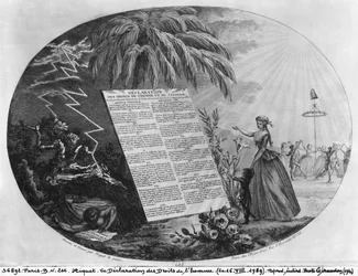 Erklärung der Menschenrechte, 20.-26. Juli 1789